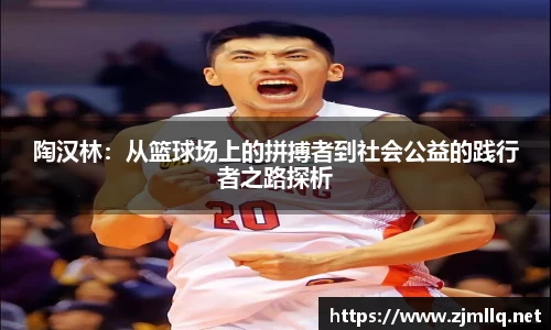 陶汉林：从篮球场上的拼搏者到社会公益的践行者之路探析