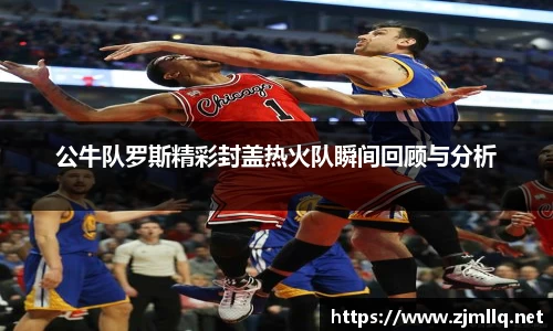 公牛队罗斯精彩封盖热火队瞬间回顾与分析